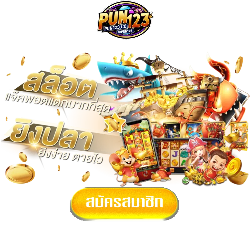 pun-pro-1234